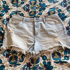 Brand new Universal Thread shorts